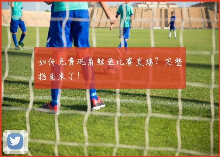 如何免费观看鲸鱼比赛直播？完整指南来了！